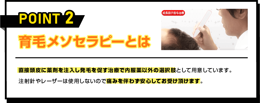 POINT 2 育毛メソセラピーとは 直接頭皮に薬剤を注入し発毛を促す治療で内服薬以外の選択肢として用意しています。注射針やレーザーは使用しないので痛みを伴わず安心してお受け頂けます。